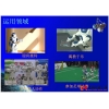 创新实验室