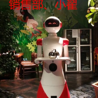 廊坊餐厅机器人，新奇，店内有特色，送餐+迎宾