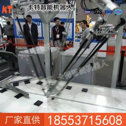 六轴并联机器人直销价格