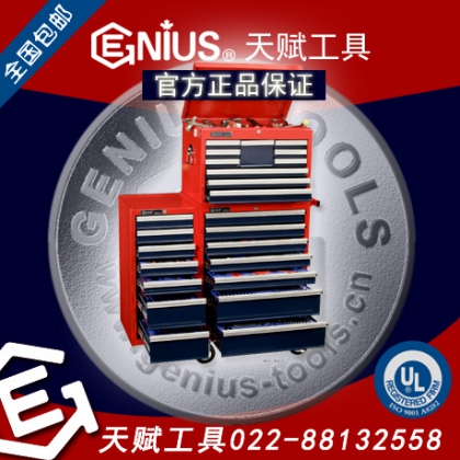 加拿大天赋工具MS-548TS 548件套公制及英制综合工具配工具车Genius 022-88132558