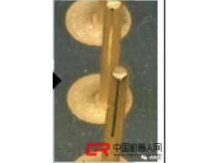 Union 变倍观察测量 显微镜 DZ4