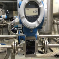 E+H插入式电磁流量计DTI200-A12A1ADN25-