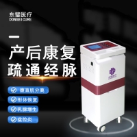 低频产后治疗仪
