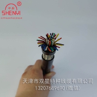 直供聚氯乙烯绝缘及护套计算机控制电缆DJVVPR 屏蔽软线缆