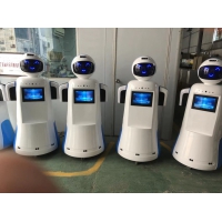 客户定制江智华理工机器人