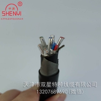 DJYP3VP3-22计算机屏蔽电缆7x2x1.0
