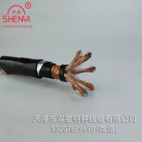 铠装计算机双屏蔽电缆ZR-DJVPVP22