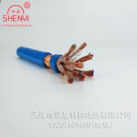 天津线缆厂生产本安阻燃计算机线缆ZR-IA-DJYPVRP