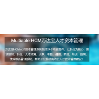 万达宝HCM人才管理系统