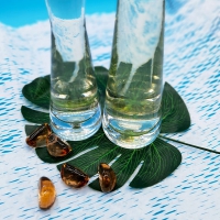 除醛抗菌负离子植物液安全环保猫砂除味用 室内空气净化喷剂