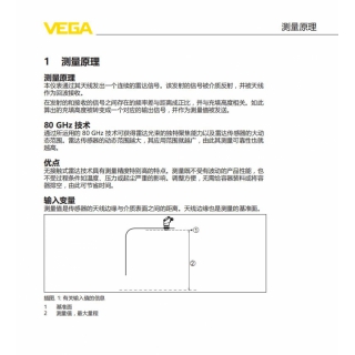 VEGAPULS 31测量原理雷达液位计
