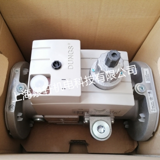 燃气阀组DUNGS冬斯DMV-DLE5100/11